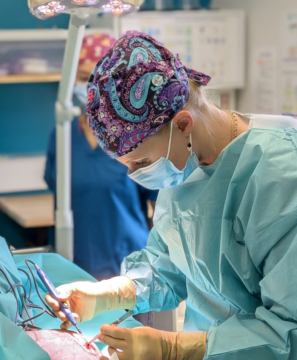 Chirurgie vétérinaire Lège Cap Ferret Chirurgie vétérinaire à le Porge et Lège Cap Ferret