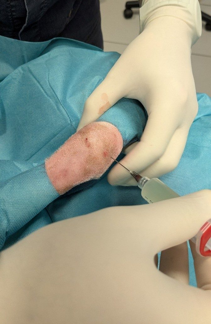 Injection intra articulaire chez un chien Injection intra articulaire chez le chien