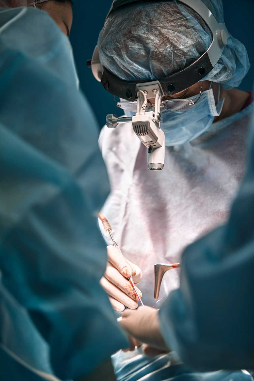 Chirurgies complexes à Vet’Estey La clinique vétérinaire Vet'Estey réalise des chirurgies complexes : orl, orthopédique et tissus mous